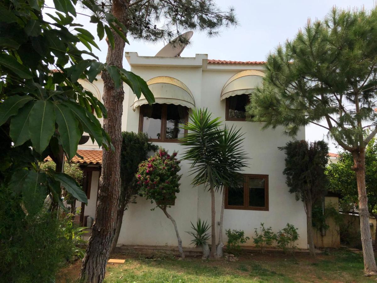 Villa Natalia Ajia Napa Zewnętrze zdjęcie